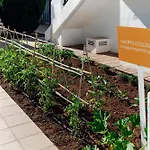 Lägenhet Aluasun Park Cala'N Bosch (Menorca)